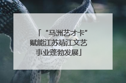 “马洲艺才卡”赋能江苏靖江文艺事业蓬勃发展