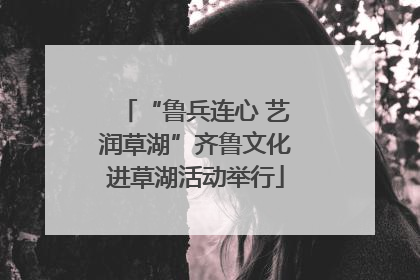 “鲁兵连心 艺润草湖”齐鲁文化进草湖活动举行