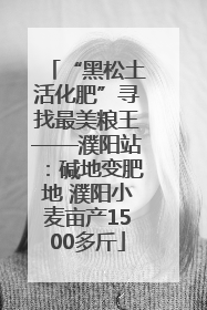“黑松土活化肥”寻找最美粮王——濮阳站：碱地变肥地 濮阳小麦亩产1500多斤