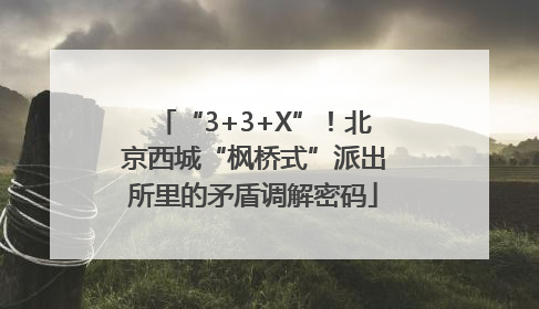 “3+3+X”！北京西城“枫桥式”派出所里的矛盾调解密码