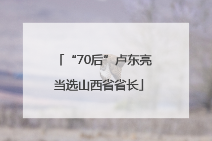 “70后”卢东亮当选山西省省长