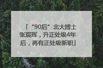 “90后”北大博士张宸珲，升正处级4年后，再有正处级新职