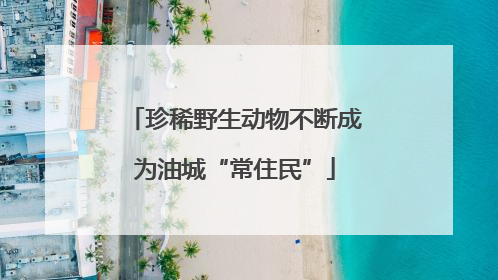 珍稀野生动物不断成为油城“常住民”