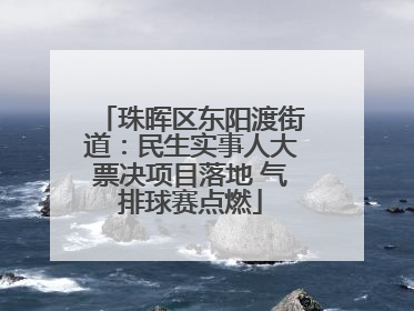 珠晖区东阳渡街道：民生实事人大票决项目落地 气排球赛点燃