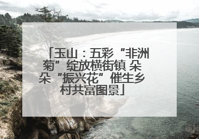 玉山：五彩“非洲菊”绽放横街镇 朵朵“振兴花”催生乡村共富图景
