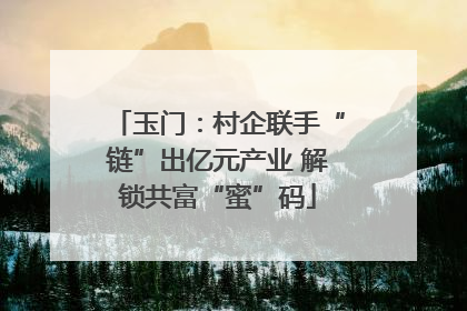 玉门：村企联手“链”出亿元产业 解锁共富“蜜”码