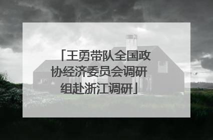 王勇带队全国政协经济委员会调研组赴浙江调研