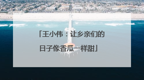 王小伟：让乡亲们的日子像香瓜一样甜