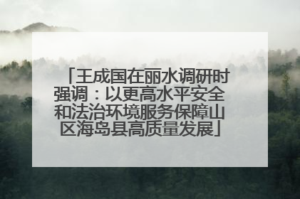 王成国在丽水调研时强调：以更高水平安全和法治环境服务保障山区海岛县高质量发展