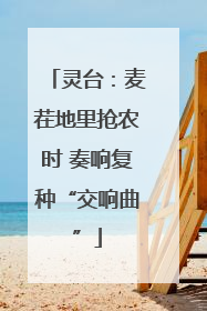 灵台：麦茬地里抢农时 奏响复种“交响曲”