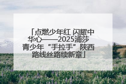 点燃少年红 闪耀中华心——2025浦莎青少年“手拉手”陕西路线丝路续新章