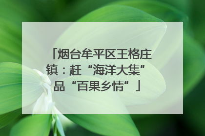 烟台牟平区王格庄镇：赶“海洋大集” 品“百果乡情”