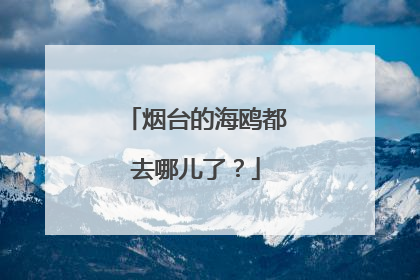 烟台的海鸥都去哪儿了？