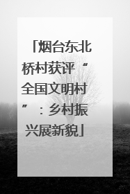 烟台东北桥村获评“全国文明村”：乡村振兴展新貌