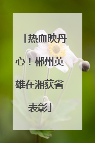 热血映丹心！郴州英雄在湘获省表彰