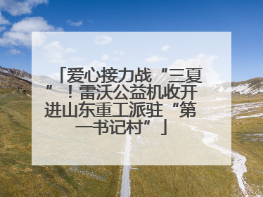 爱心接力战“三夏”！雷沃公益机收开进山东重工派驻“第一书记村”