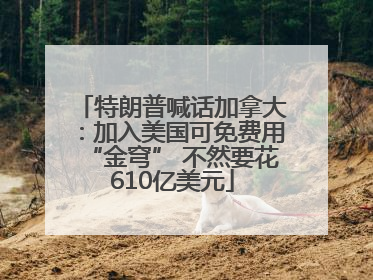 特朗普喊话加拿大：加入美国可免费用“金穹” 不然要花610亿美元