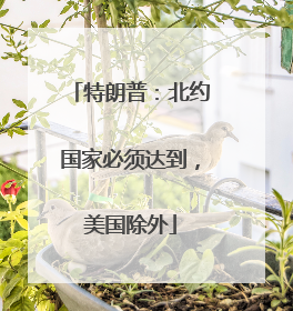 特朗普：北约国家必须达到，美国除外