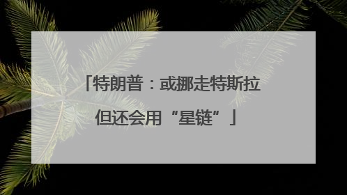 特朗普：或挪走特斯拉 但还会用“星链”