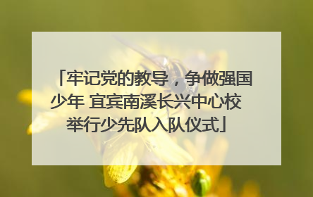 牢记党的教导，争做强国少年 宜宾南溪长兴中心校举行少先队入队仪式