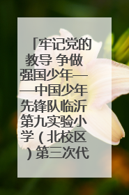 牢记党的教导 争做强国少年——中国少年先锋队临沂第九实验小学（北校区）第三次代表大会胜利召开
