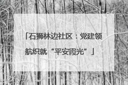 石狮林边社区：党建领航织就“平安霞光”