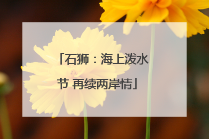 石狮：海上泼水节 再续两岸情