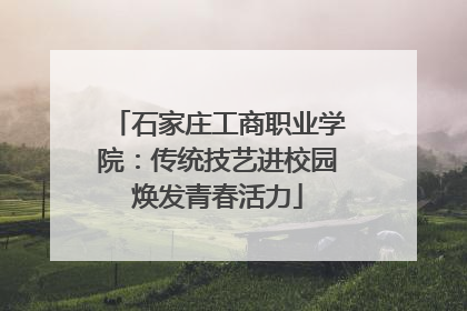 石家庄工商职业学院：传统技艺进校园焕发青春活力
