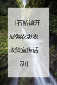 石桥镇开展强农惠农政策宣传活动