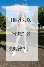 睡莲为啥“作息”这么规律？