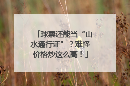 球票还能当“山水通行证”？难怪价格炒这么高！