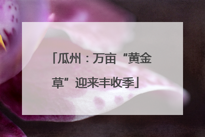 瓜州：万亩“黄金草”迎来丰收季