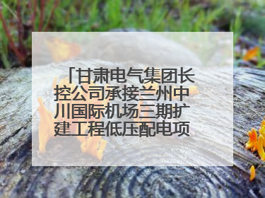 甘肃电气集团长控公司承接兰州中川国际机场三期扩建工程低压配电项目纪实