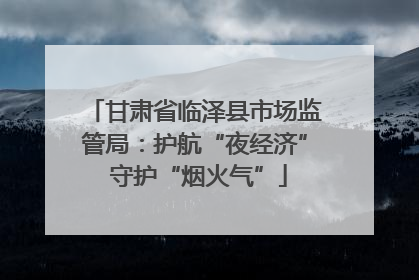 甘肃省临泽县市场监管局：护航“夜经济” 守护“烟火气”