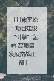 甘肃平凉：项目建设“引擎”轰鸣 高质量发展奋战正酣