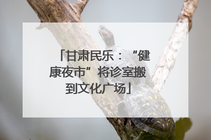 甘肃民乐：“健康夜市”将诊室搬到文化广场