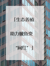 生态养殖助力鳜鱼变“网红”