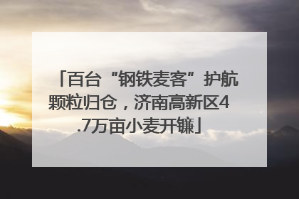百台“钢铁麦客”护航颗粒归仓，济南高新区4.7万亩小麦开镰