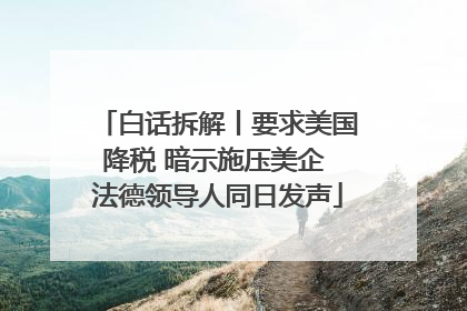 白话拆解丨要求美国降税 暗示施压美企 法德领导人同日发声