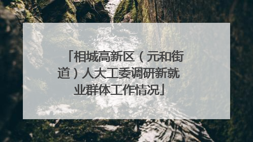 相城高新区（元和街道）人大工委调研新就业群体工作情况