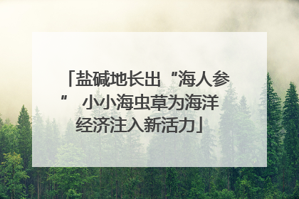 盐碱地长出“海人参” 小小海虫草为海洋经济注入新活力