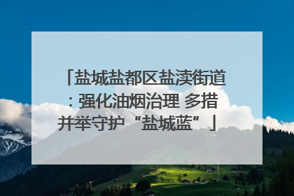 盐城盐都区盐渎街道：强化油烟治理 多措并举守护“盐城蓝”