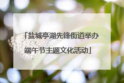 盐城亭湖先锋街道举办端午节主题文化活动