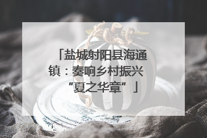 盐城射阳县海通镇：奏响乡村振兴“夏之华章”