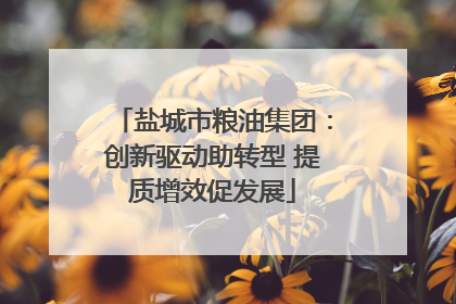 盐城市粮油集团：创新驱动助转型 提质增效促发展