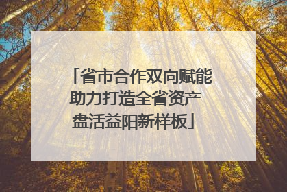 省市合作双向赋能 助力打造全省资产盘活益阳新样板
