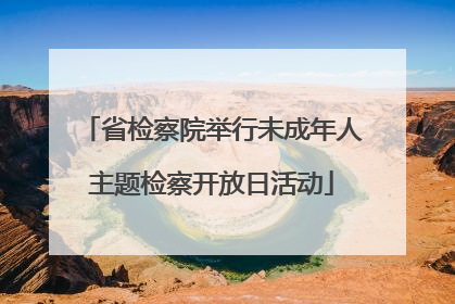 省检察院举行未成年人主题检察开放日活动