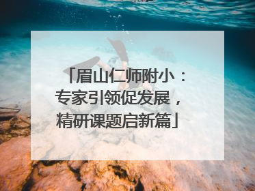 眉山仁师附小：专家引领促发展，精研课题启新篇