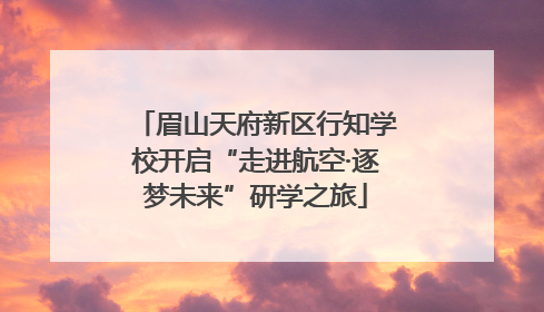 眉山天府新区行知学校开启“走进航空·逐梦未来”研学之旅