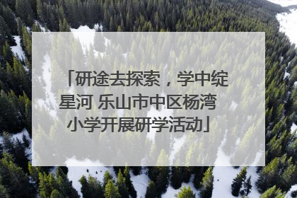 研途去探索，学中绽星河 乐山市中区杨湾小学开展研学活动